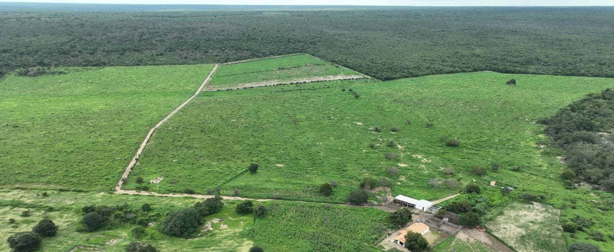 Operação Caatinga Resiste é concluída nesta segunda-feira (24) com atuação da Semarh no Piauí