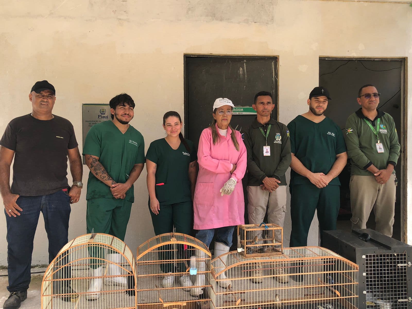 Animais silvestres resgatados em Picos são encaminhados ao CETAS da Semarh para reabilitação