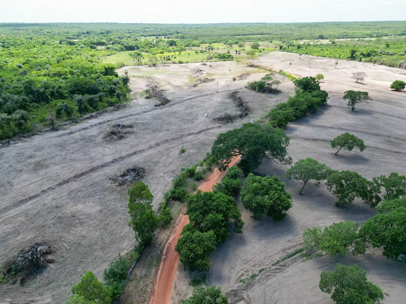 semarh-realiza-operacao-de-fiscalizacao-em-areas-desmatadas-na-regiao-norte-do-piaui