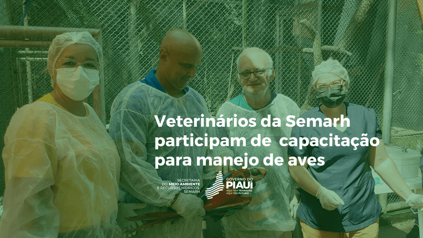 veterinarios-da-semarh-participam-de-capacitacao-para-manejo-de-aves