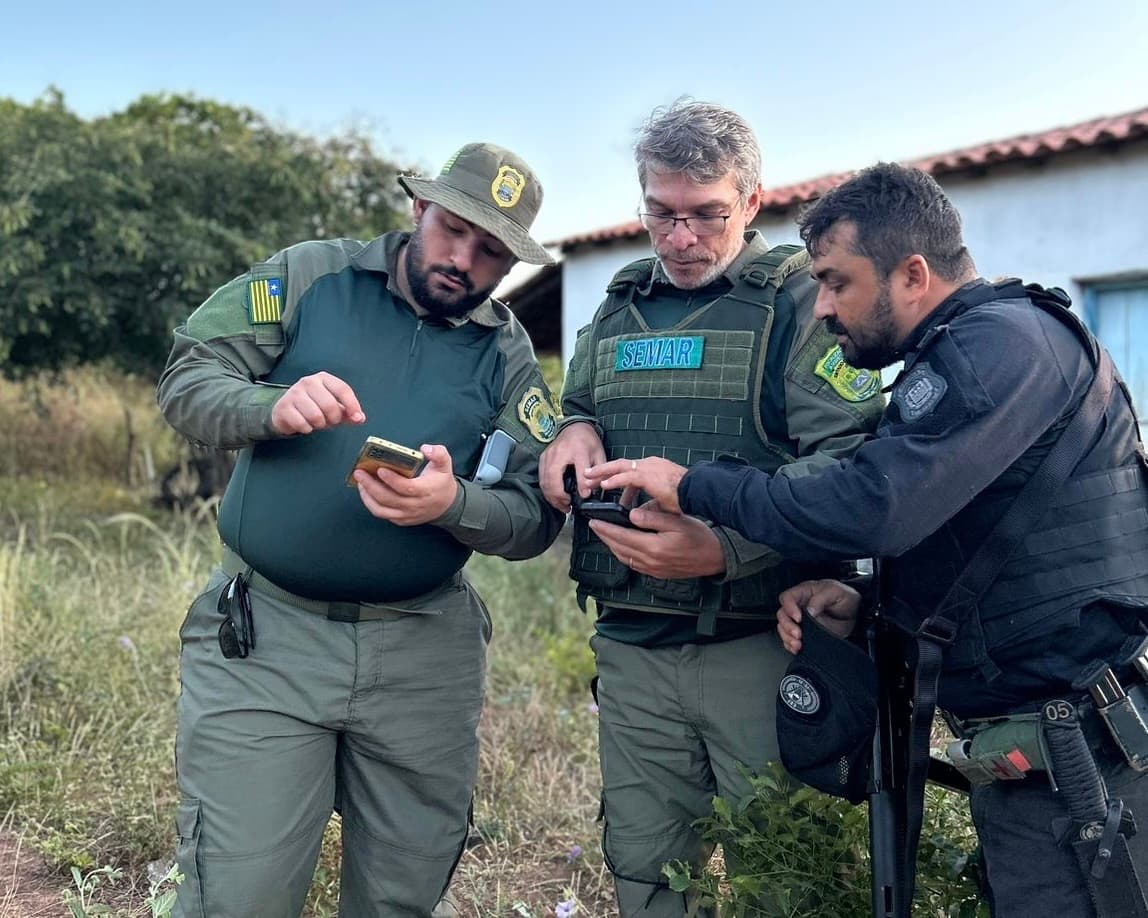Semarh e Polícia Civil deflagram operação contra caça ilegal de animais silvestres