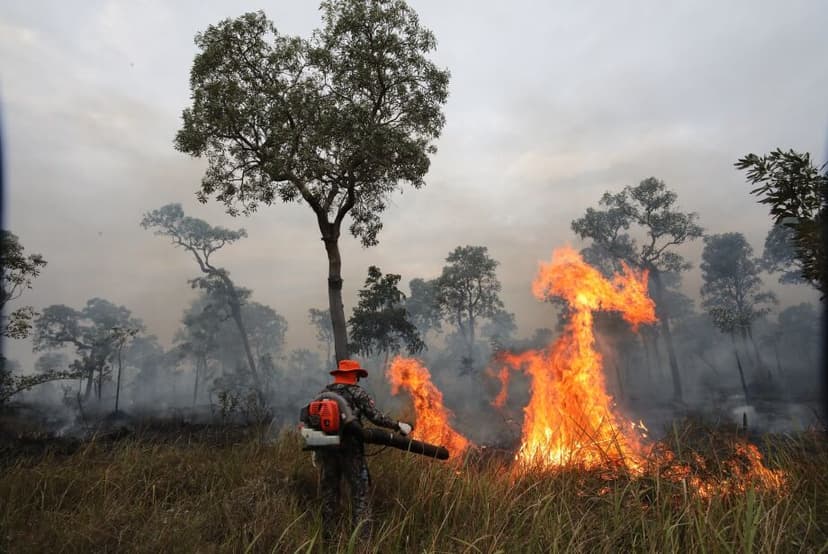 teresina-e-a-unica-capital-brasileira-que-nao-piorou-qualidade-do-ar-no-periodo-das-queimadas-aponta-copernicus