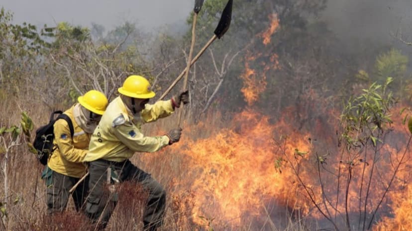 semarh-entrega-novos-equipamentos-de-epis-e-material-de-combate-a-incendio-florestal-a-11-municipios-piauienses