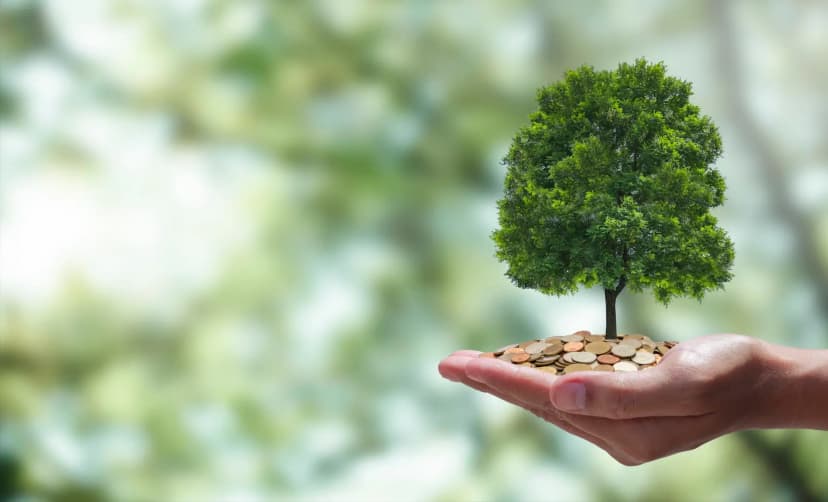 piaui-possui-potencial-na-capitalizacao-de-creditos-de-carbono-com-nova-legislacao-federal