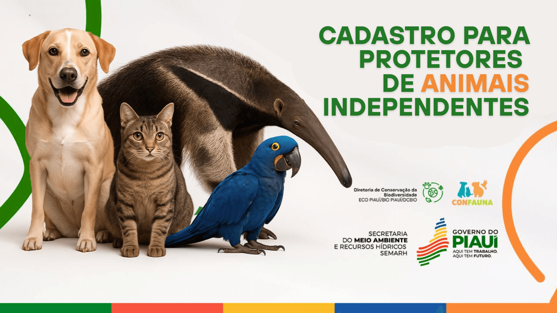 Semarh lança Cadastro para Ongs e Protetores Independentes de Animais