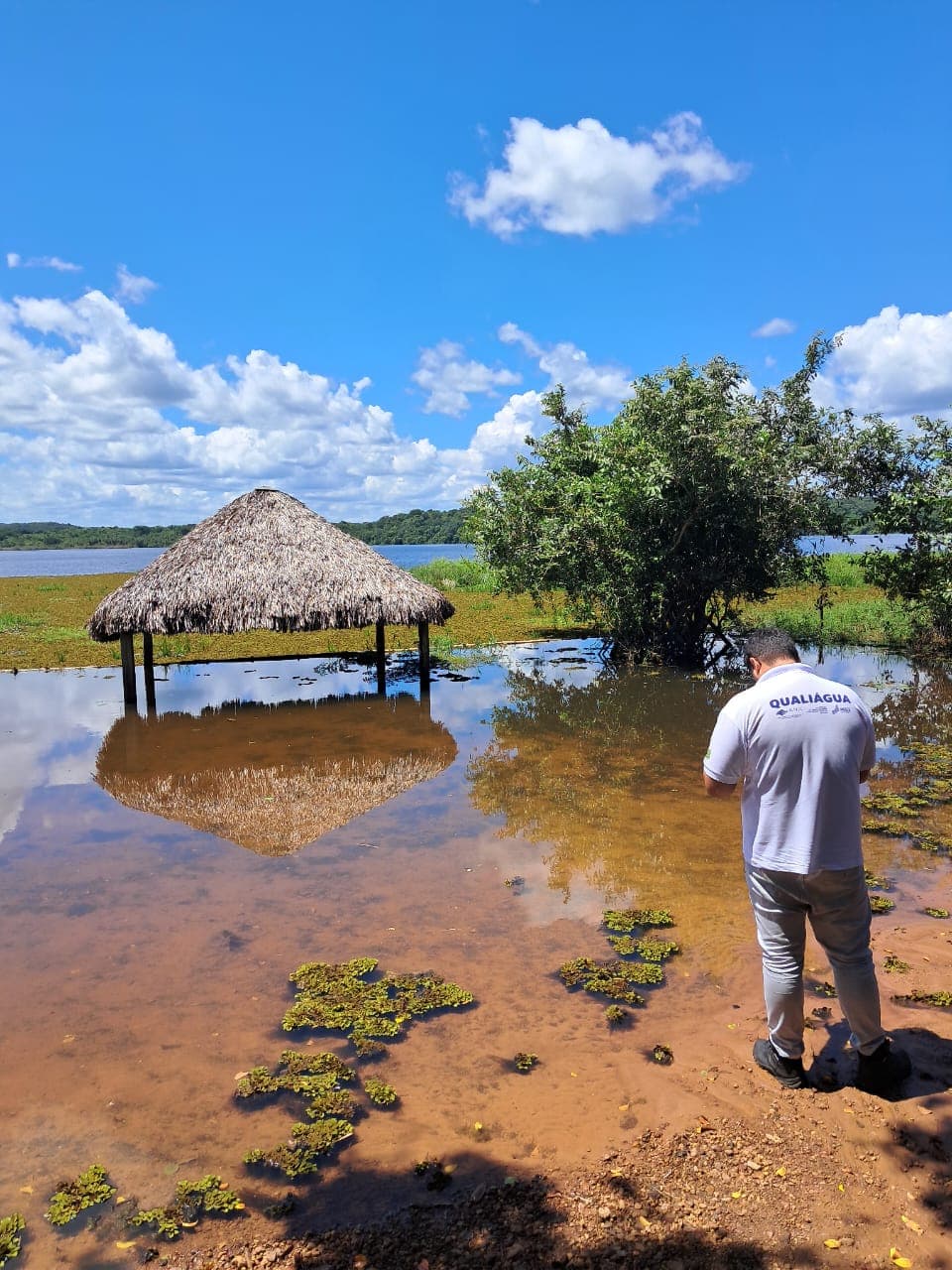 Semarh investiga proliferação de vegetação no Açude Caldeirão em Piripiri