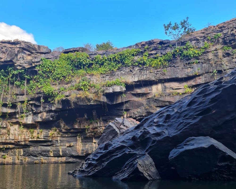 Piauí reforça compromisso com a preservação da biodiversidade neste 22 de Maio