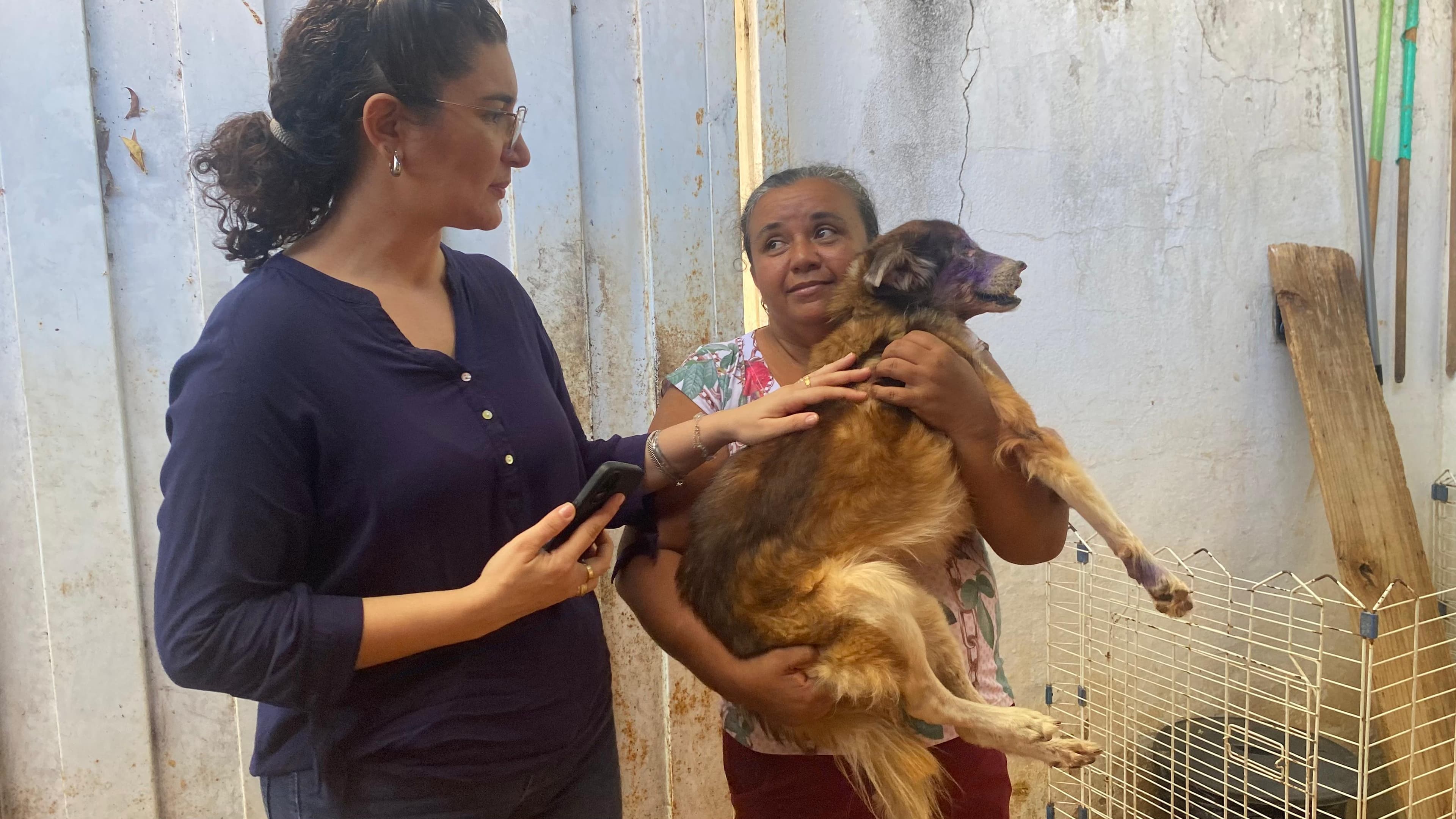 Visita a APAPI