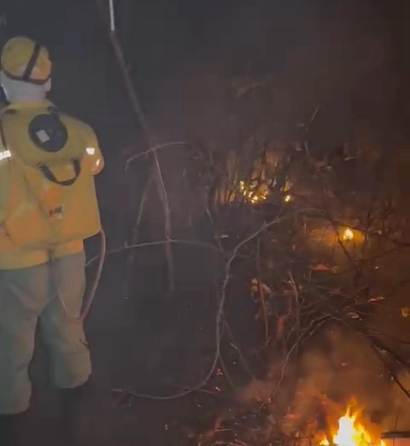 Brigadistas de Sebastião Leal enfrentam incêndio durante a madrugada e evitam que fogo alcance rodovia