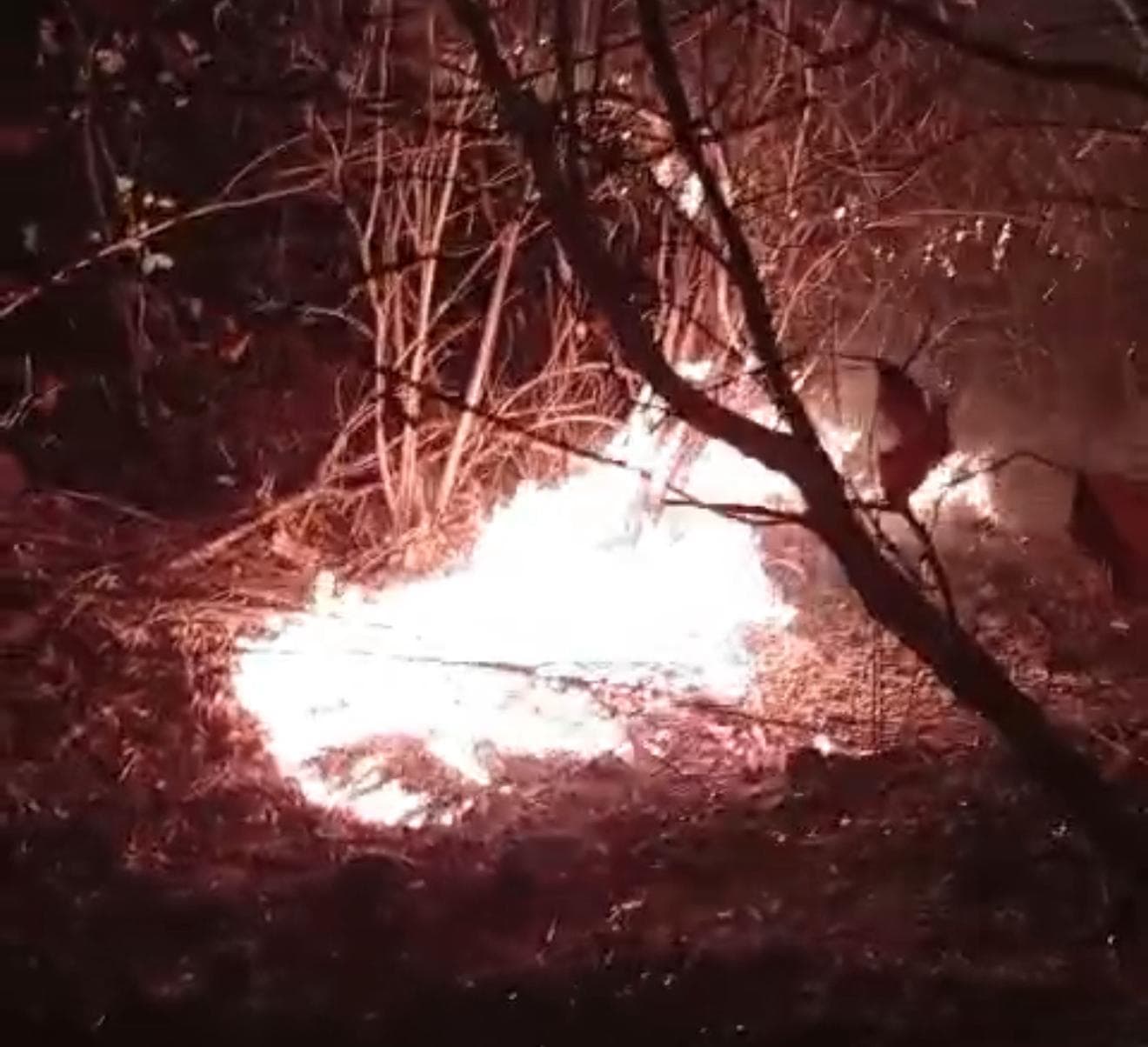 Incêndio florestal na zona rural de Sebastião Leal