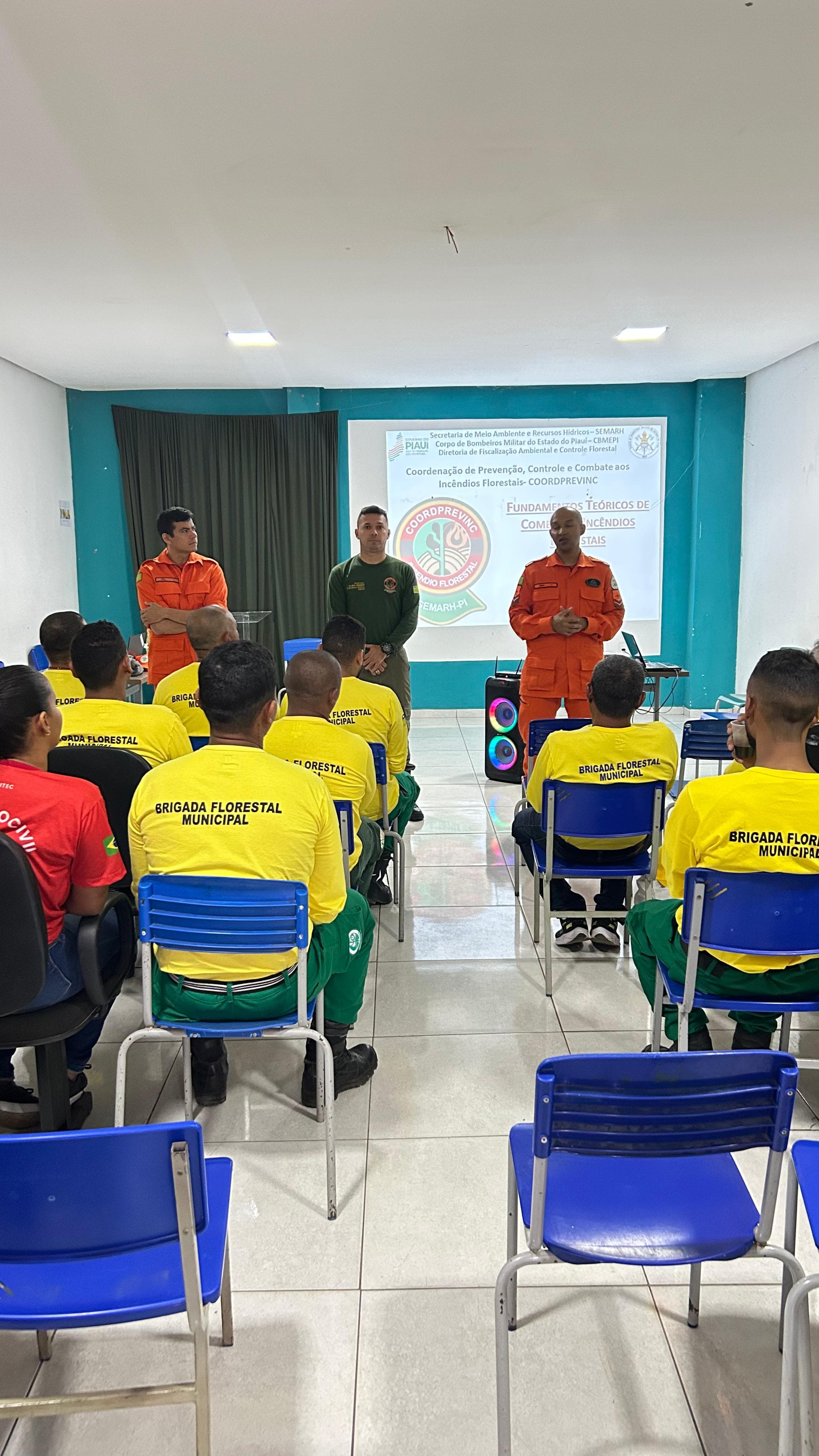 Treinamento