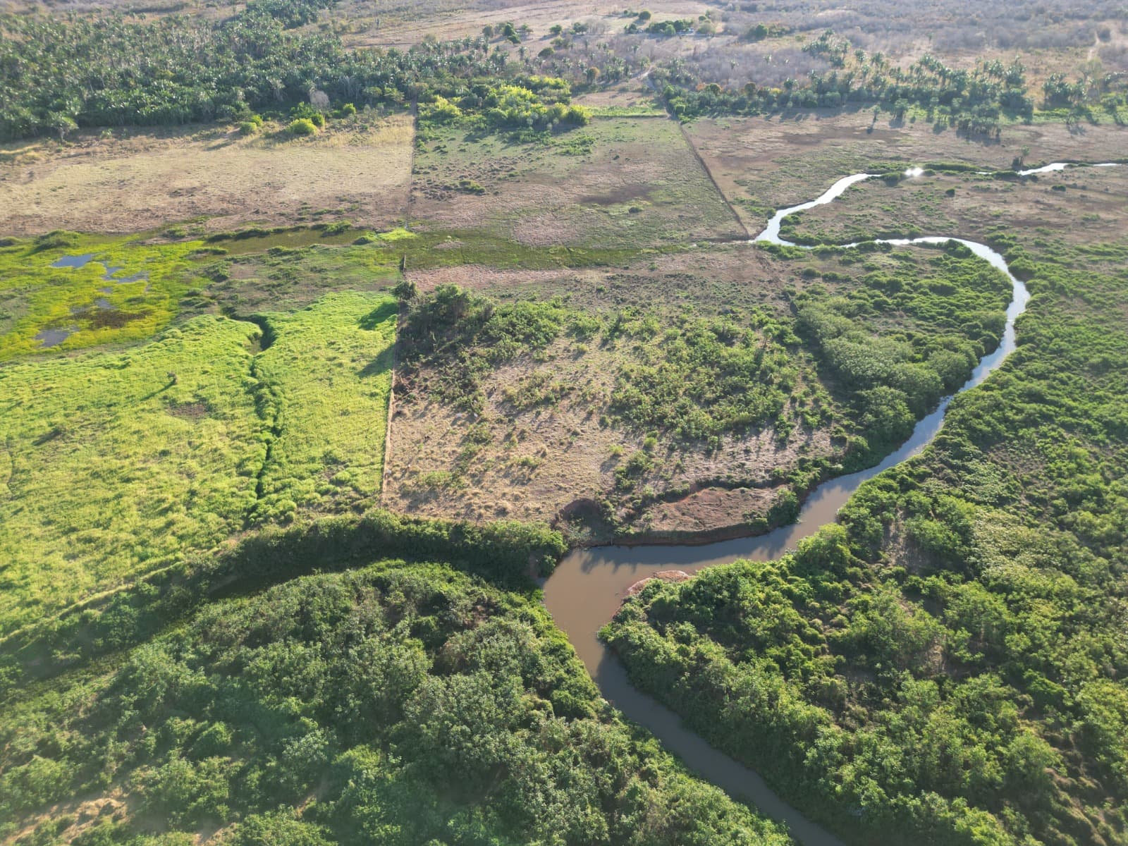 Rio Gurguéia