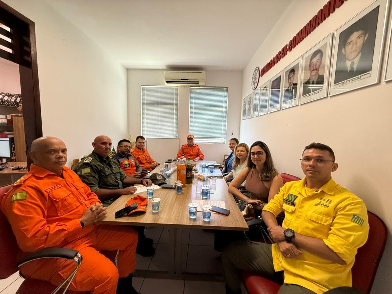 Semarh participa de reunião do Comitê Estadual de Prevenção e Combate a Incêndios Florestais