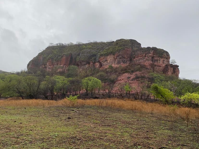 parque-estadual-do-rangel-tem-plano-de-manejo-aprovado-e-reforca-vocacao-turistica-do-sul-do-piaui
