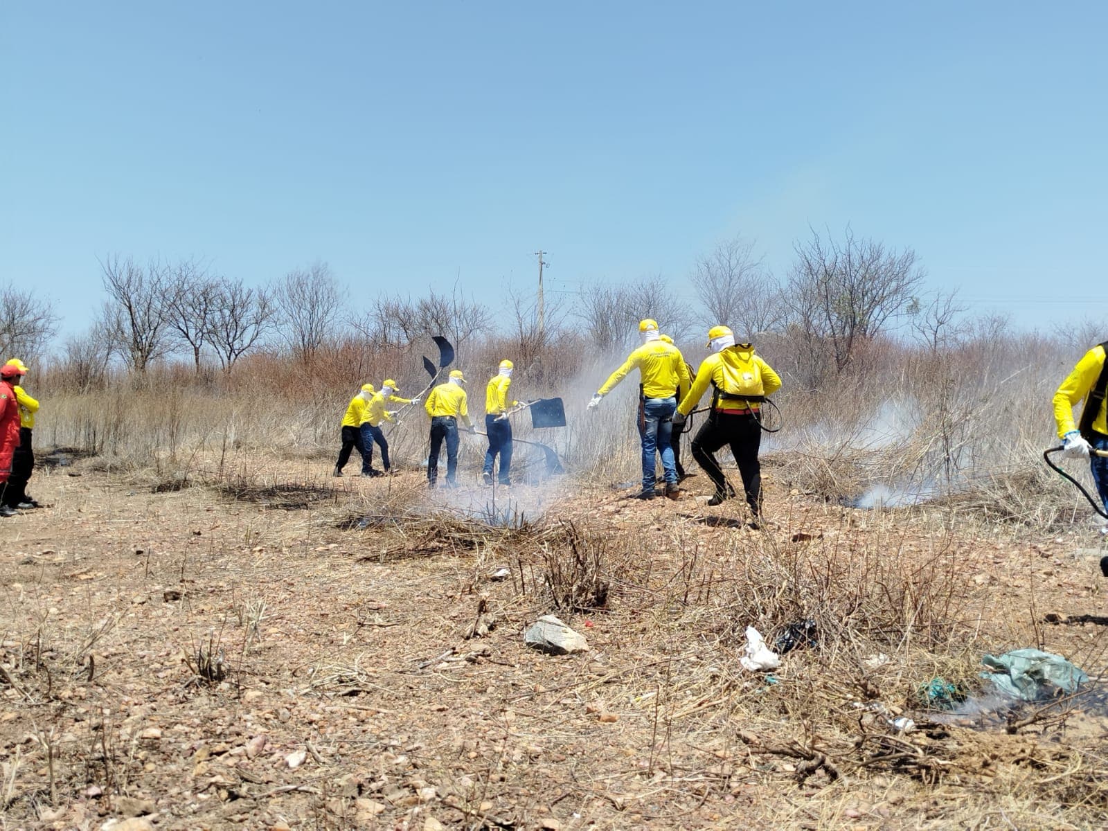 Piauí alcança marca inédita: metade dos municípios já contam com brigadas florestais treinadas