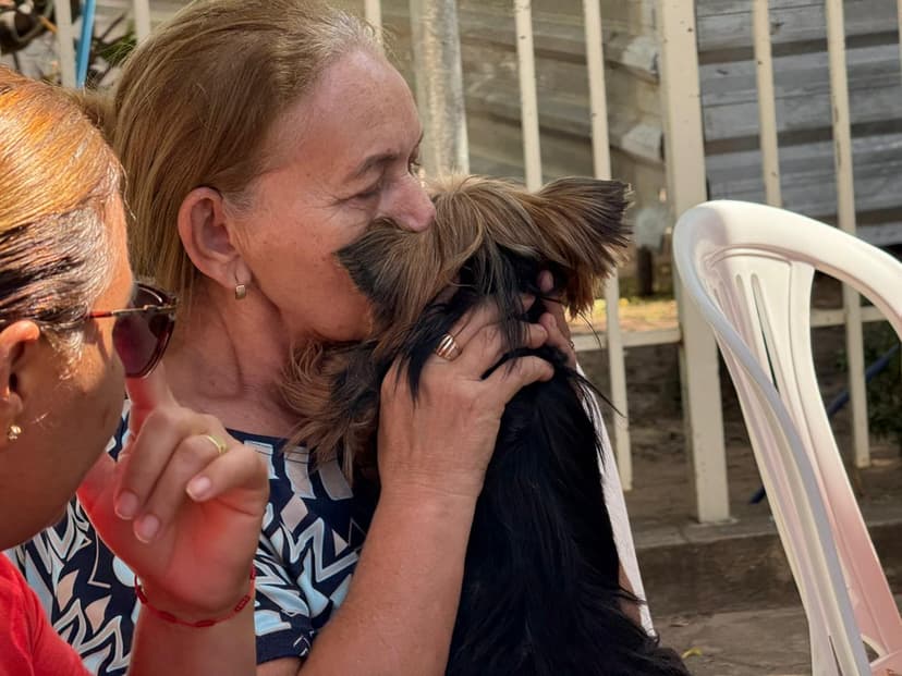 castramovel-leva-atendimento-gratuito-a-agua-branca-e-ja-soma-mais-de-200-procedimentos-em-dois-meses