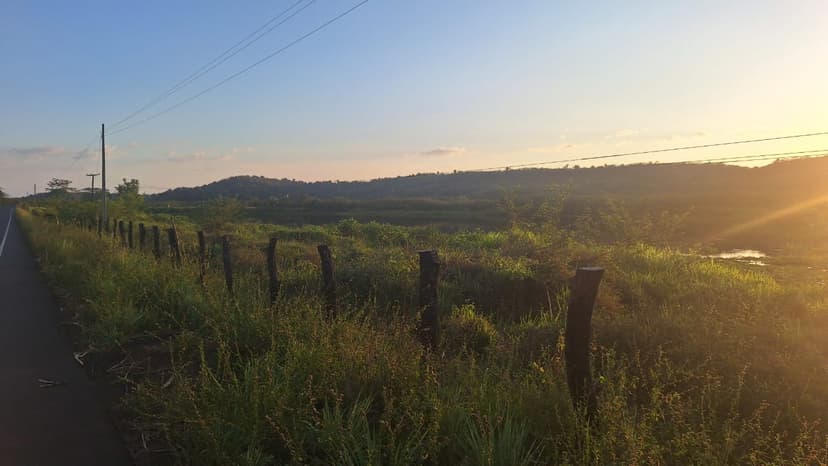 semarh-realiza-vistoria-na-pi-112-apos-serie-de-atropelamentos-de-animais-silvestres-e-reforca-fiscalizacao-no-trecho