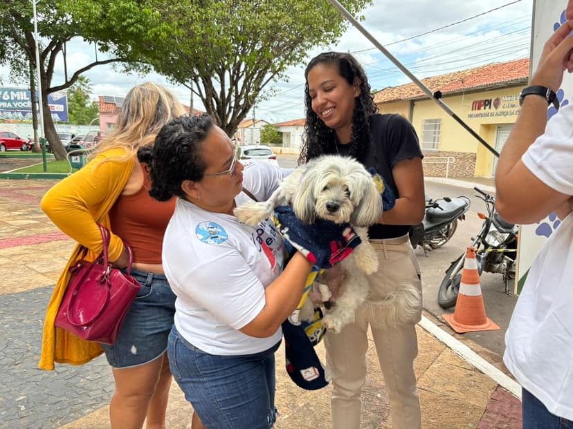 semarh-ultrapassa-a-marca-de-500-castracoes-realizadas-no-castramovel-durante-acao-em-esperantina