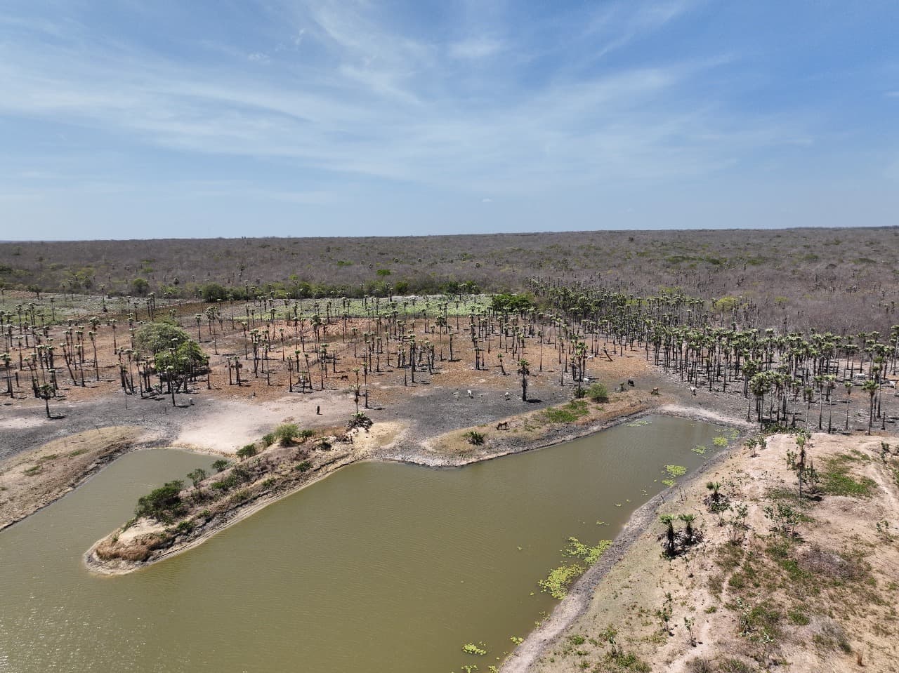 Fiscalização da Semarh reforça monitoramento e proteção da Lagoa do Portinho