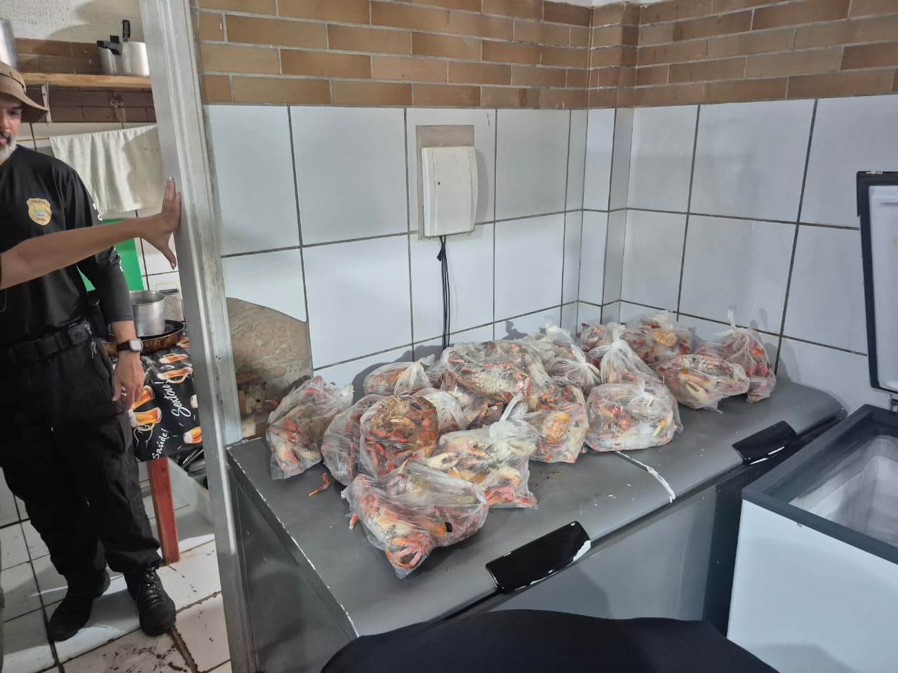 fiscalizacao-flagra-comercializacao-irregular-de-caranguejo-uca-no-litoral-do-piaui-durante-periodo-de-defeso