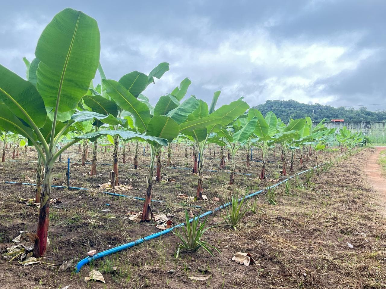 Eles conheceram as atividades de ressocialização desenvolvidas no local.