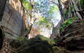 Preservar a biodiversidade do Piauí é garantir qualidade de vida, desenvolvimento sustentável.