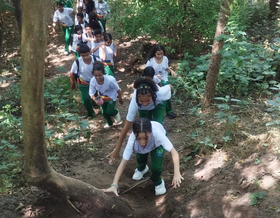Alunos do Piauí mergulham no meio ambiente com visita ao CEA e floresta fóssil