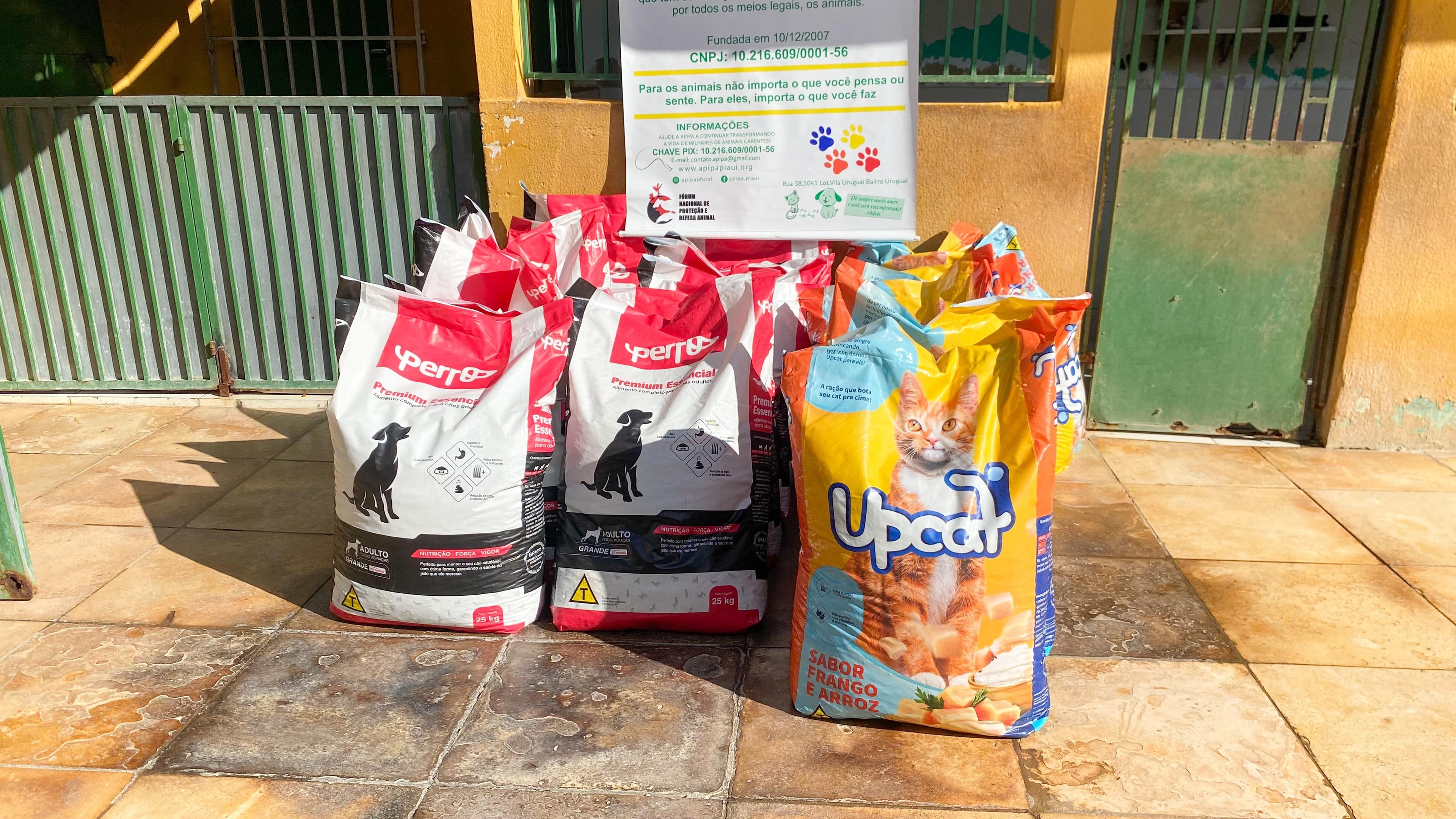 A instituição, que há quase 17 anos atua na proteção de cães e gatos em situação de abandono, abriga atualmente mais de 300 animais.