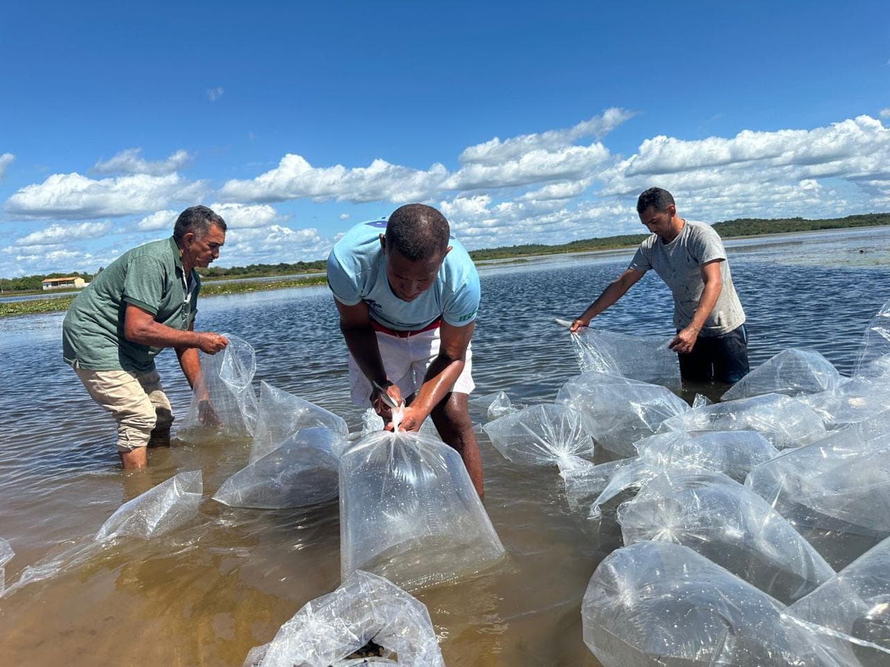 SEMARH intensifica ações de peixamento e reforça compromisso com piscicultura e preservação ambiental.