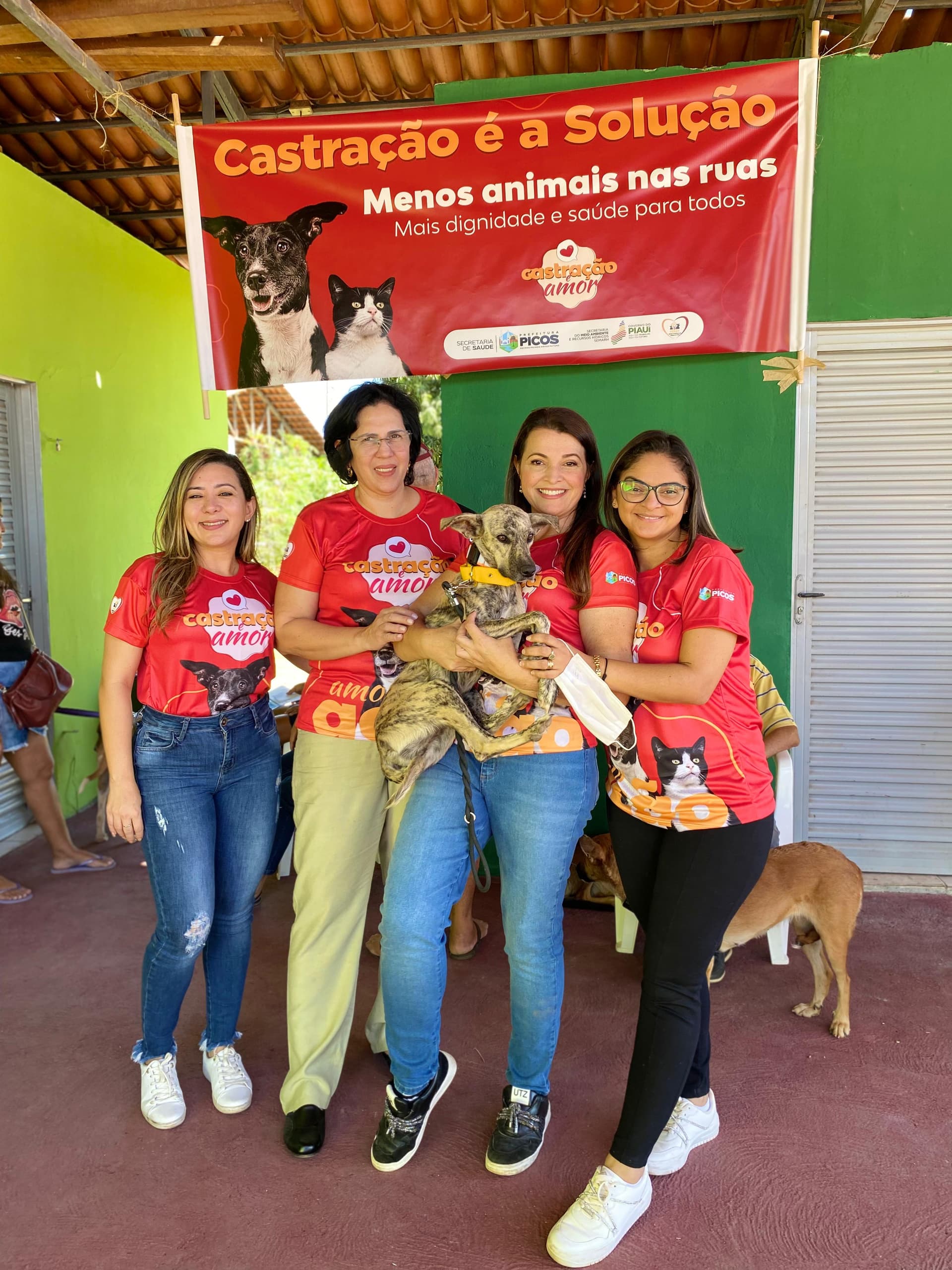 Em apenas uma semana, mais de 100 animais são castrados em Teresina e Picos com apoio da Semarh