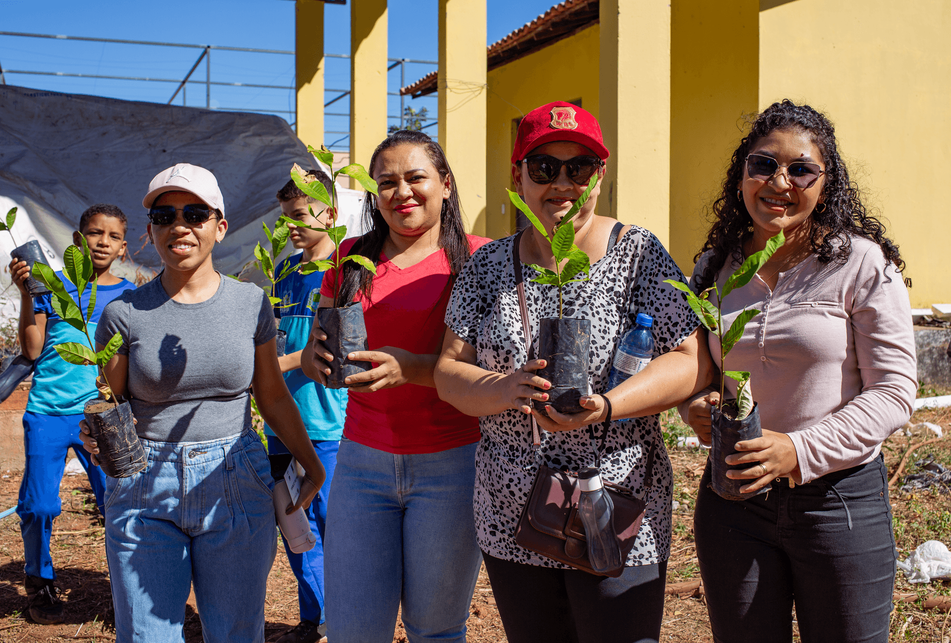 Mais de 66 mil mudas já foram adotadas por piauienses em 2025