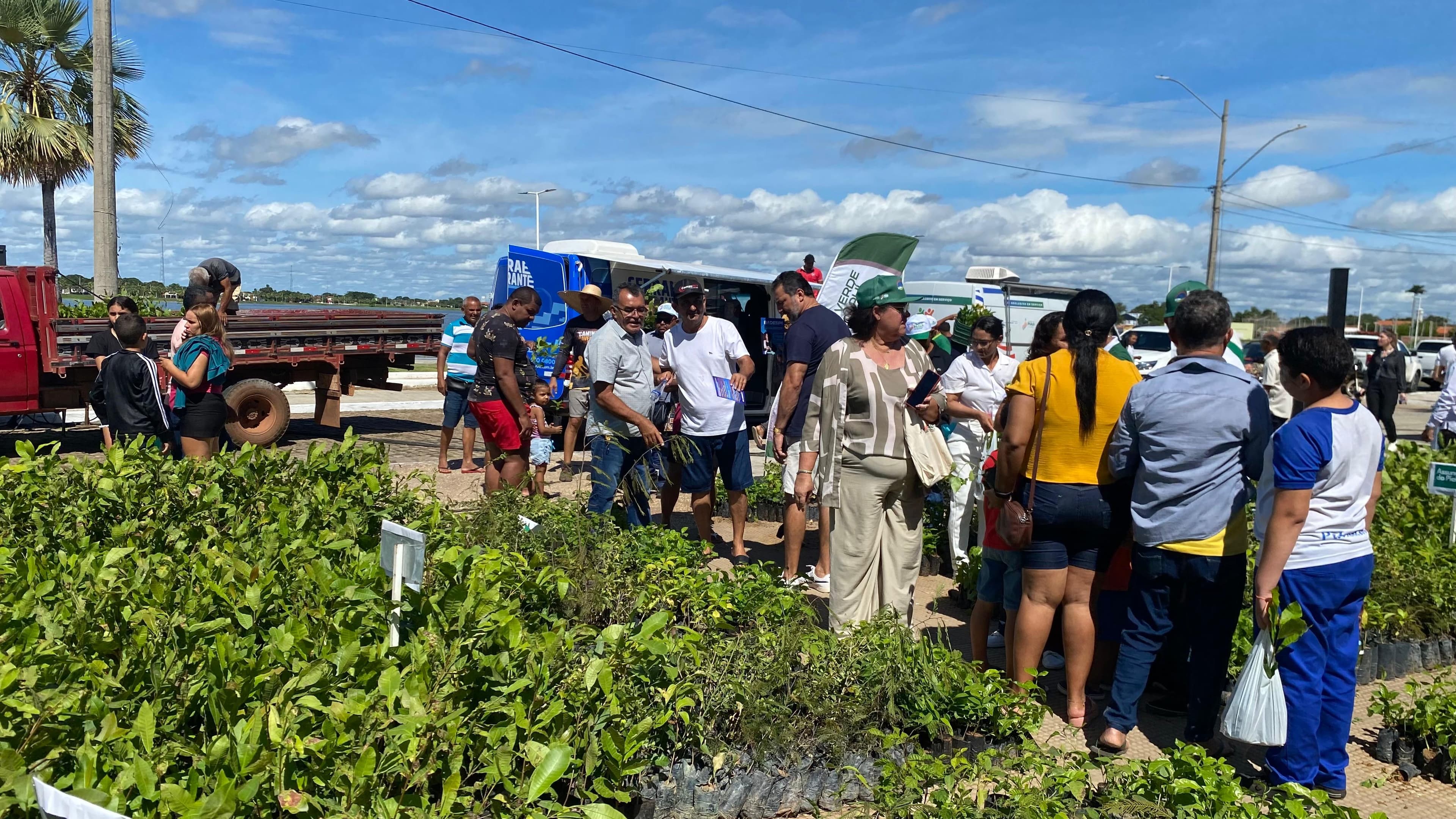 Mudas distribuidas durante evento da Semarh