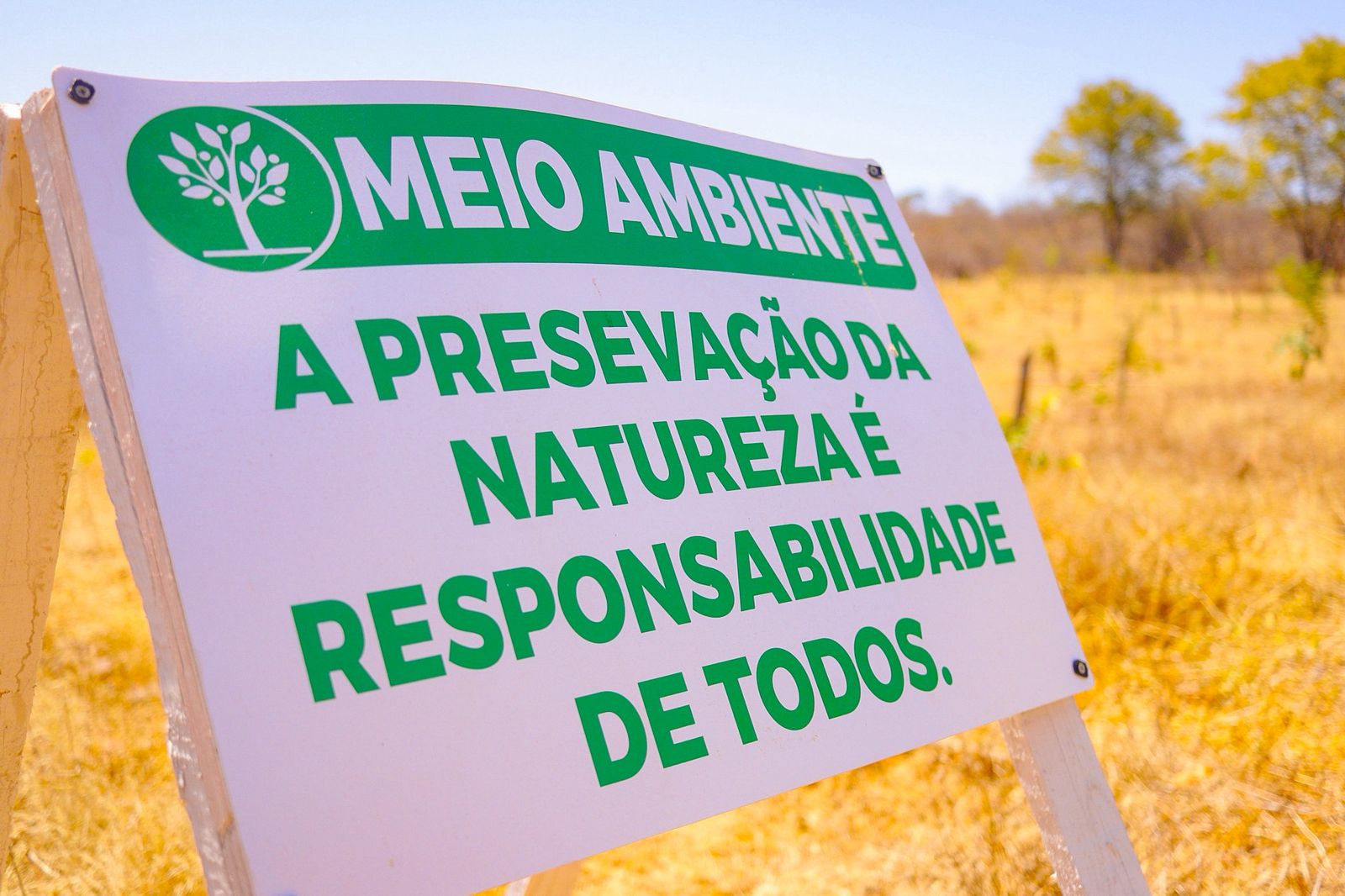 Caatinga de volta: Parque Estadual do Cânion do Rio Poti avança no reflorestamento