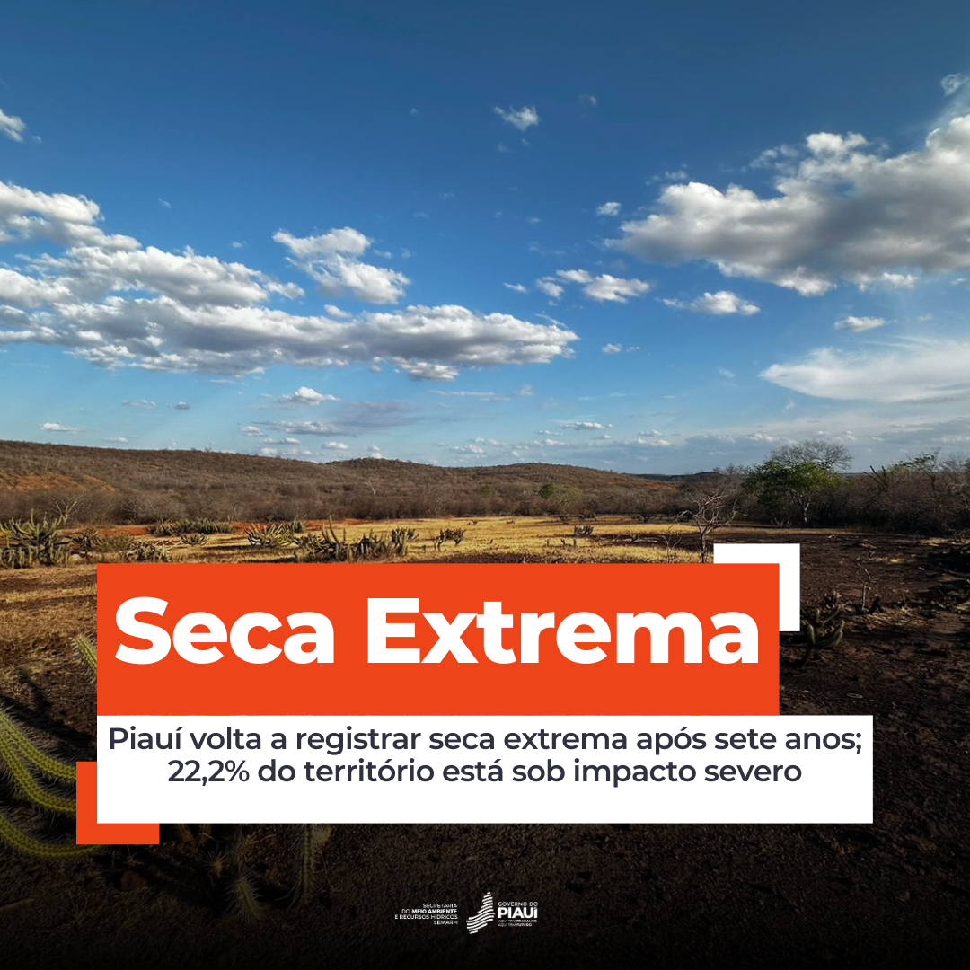 Piauí volta a registrar seca extrema após sete anos; 22,2% do território está sob impacto severo
