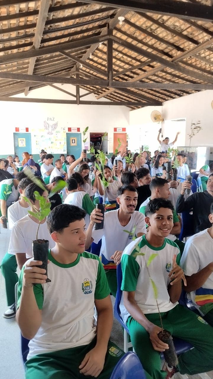 Programa já distribuiu mais de 2,5 mil mudas em ações de educação ambiental nas escolas do Piauí