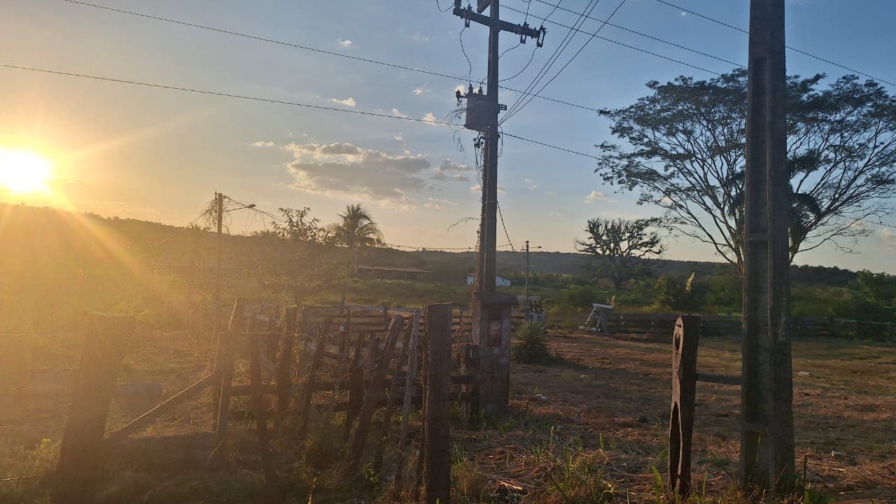 Semarh realiza vistoria na PI-112 após série de atropelamentos de animais silvestres e reforça fiscalização no trecho