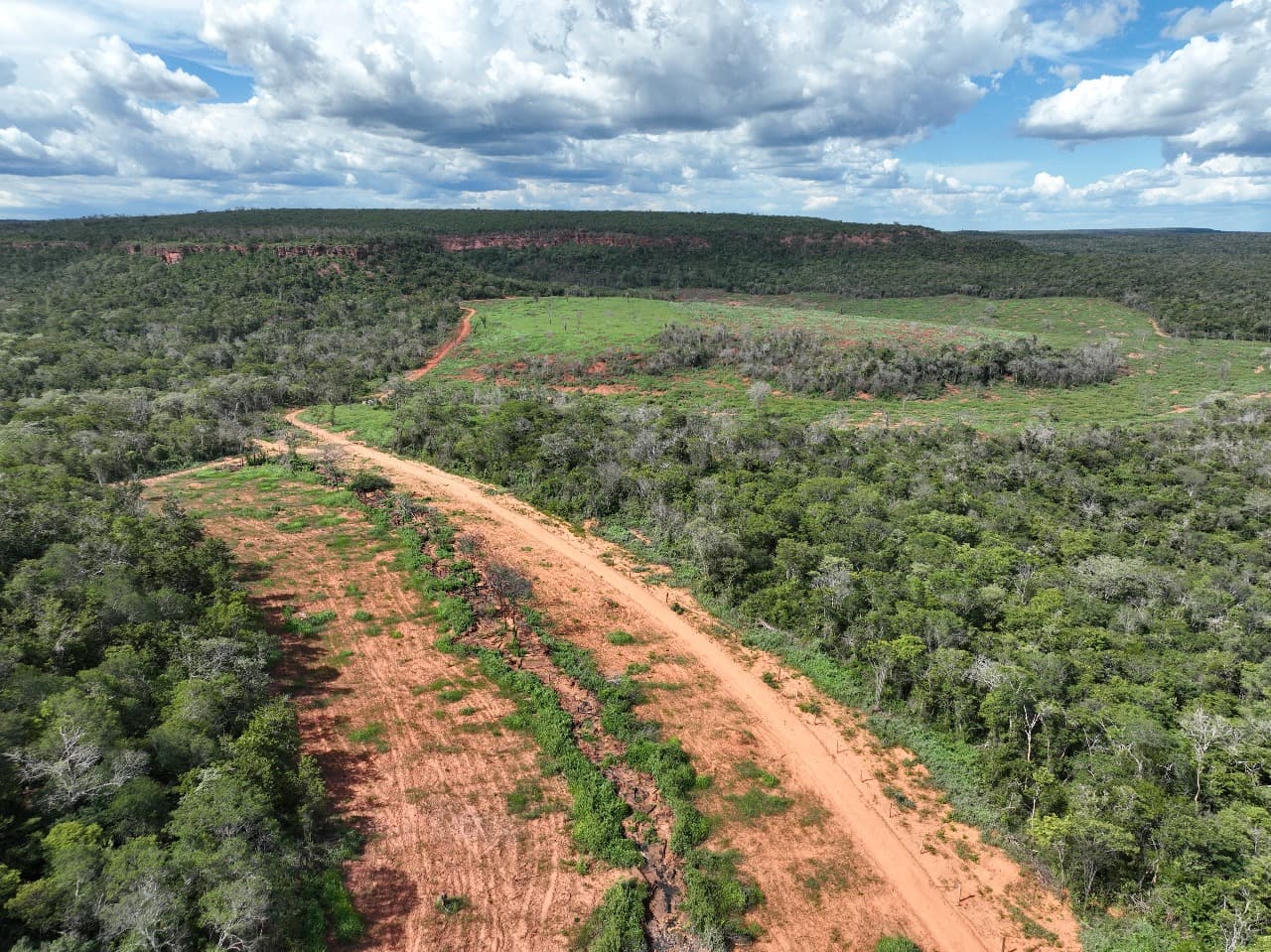 Piauí desponta entre os estados mais transparentes do país no combate ao desmatamento
