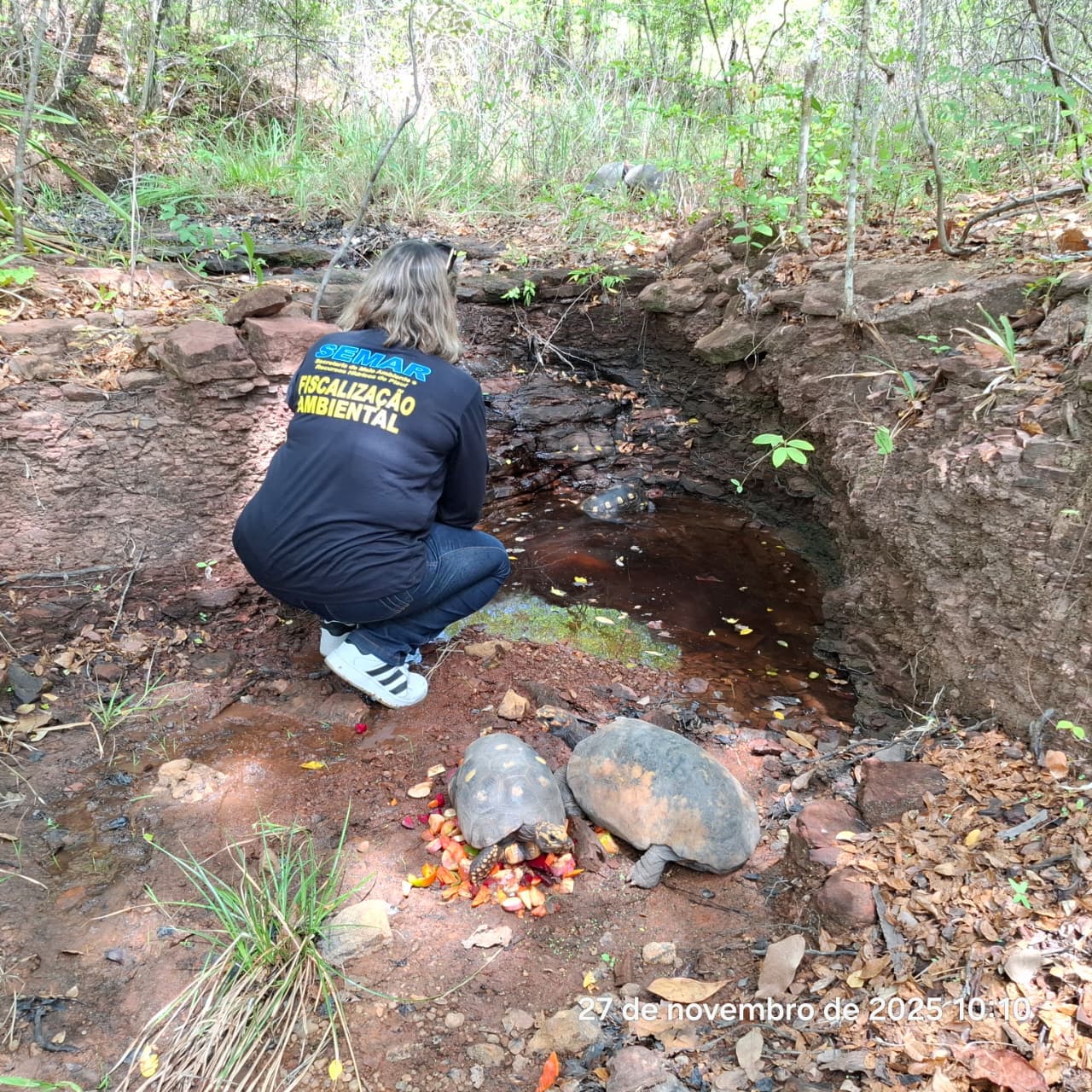 O cuidado minucioso se repete em cada etapa: desde a triagem inicial até o monitoramento pós-soltura.