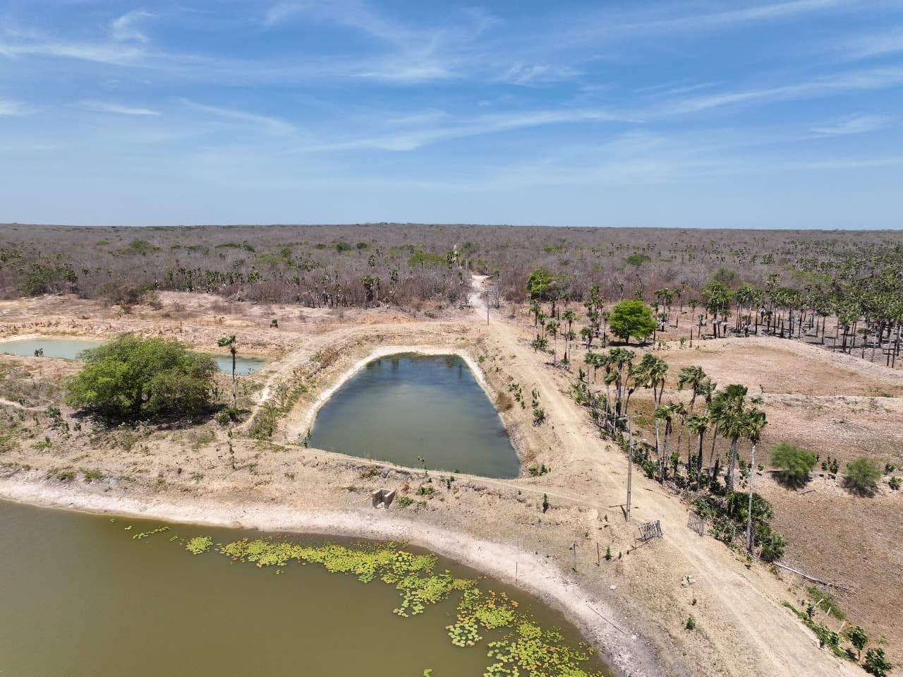 Fiscalização da Semarh reforça monitoramento e proteção da Lagoa do Portinho