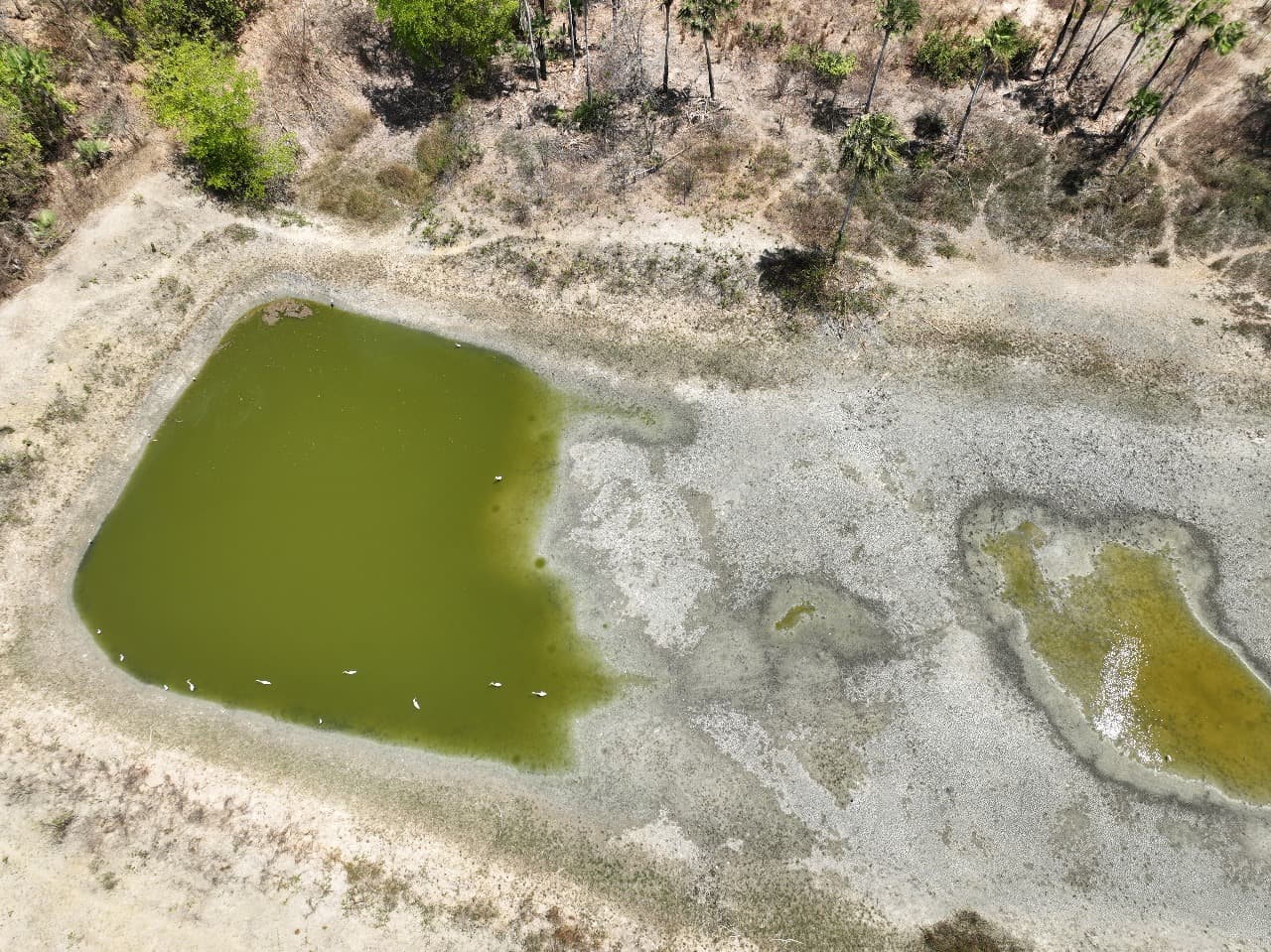 Fiscalização da Semarh reforça monitoramento e proteção da Lagoa do Portinho