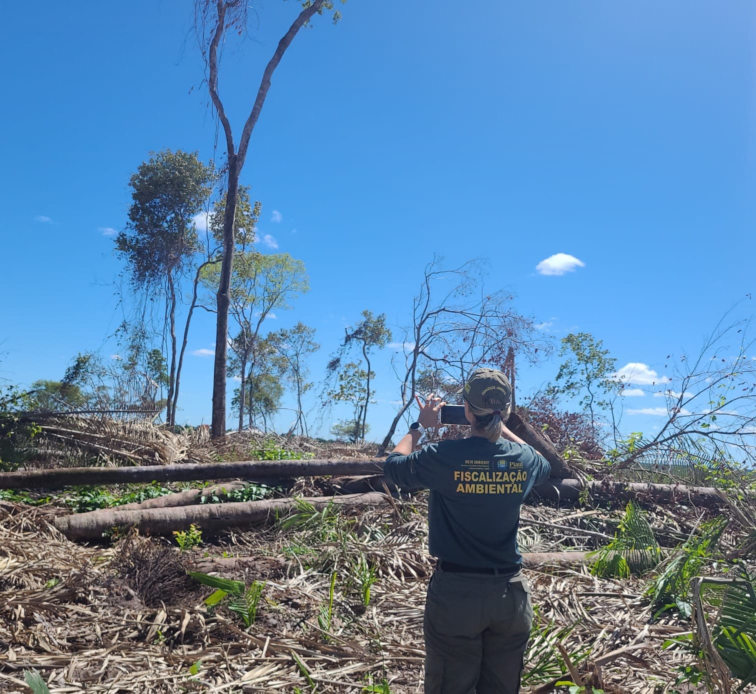 Fiscalização contra o desmatamento cresce no Piauí e Semarh registra avanço em 2025