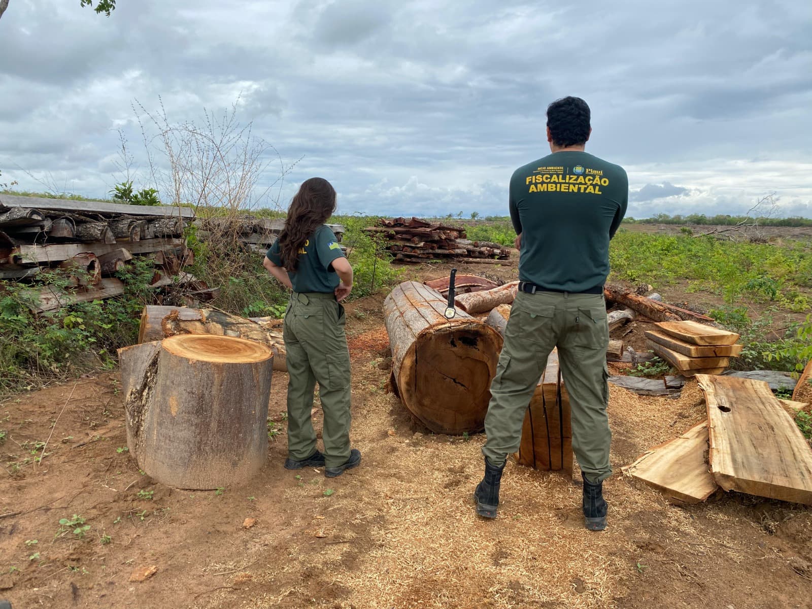 Fiscalização contra o desmatamento cresce no Piauí e Semarh registra avanço em 2025