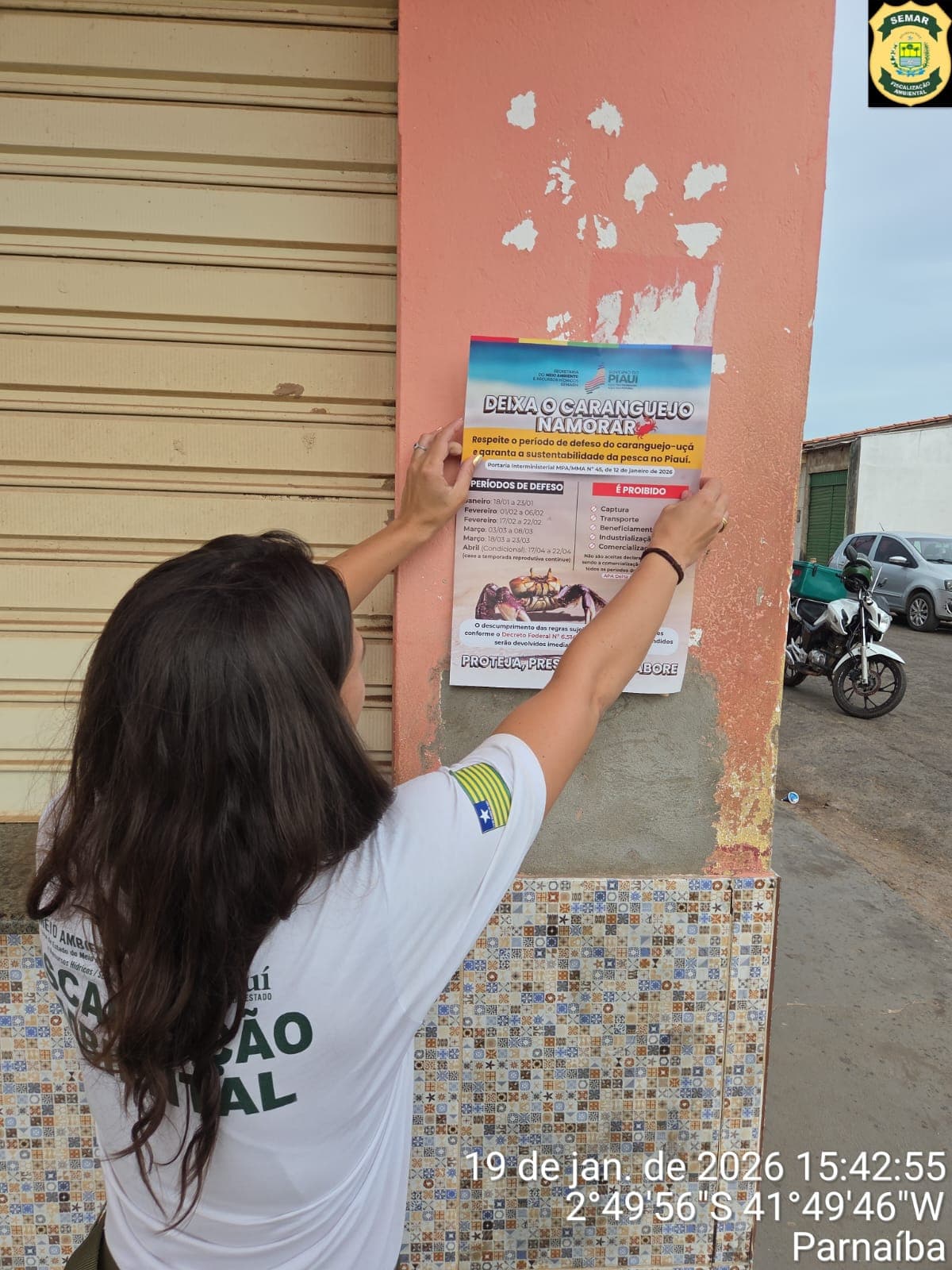 Defeso do caranguejo-uçá começa no Piauí e reforça proteção a uma espécie vital dos manguezais