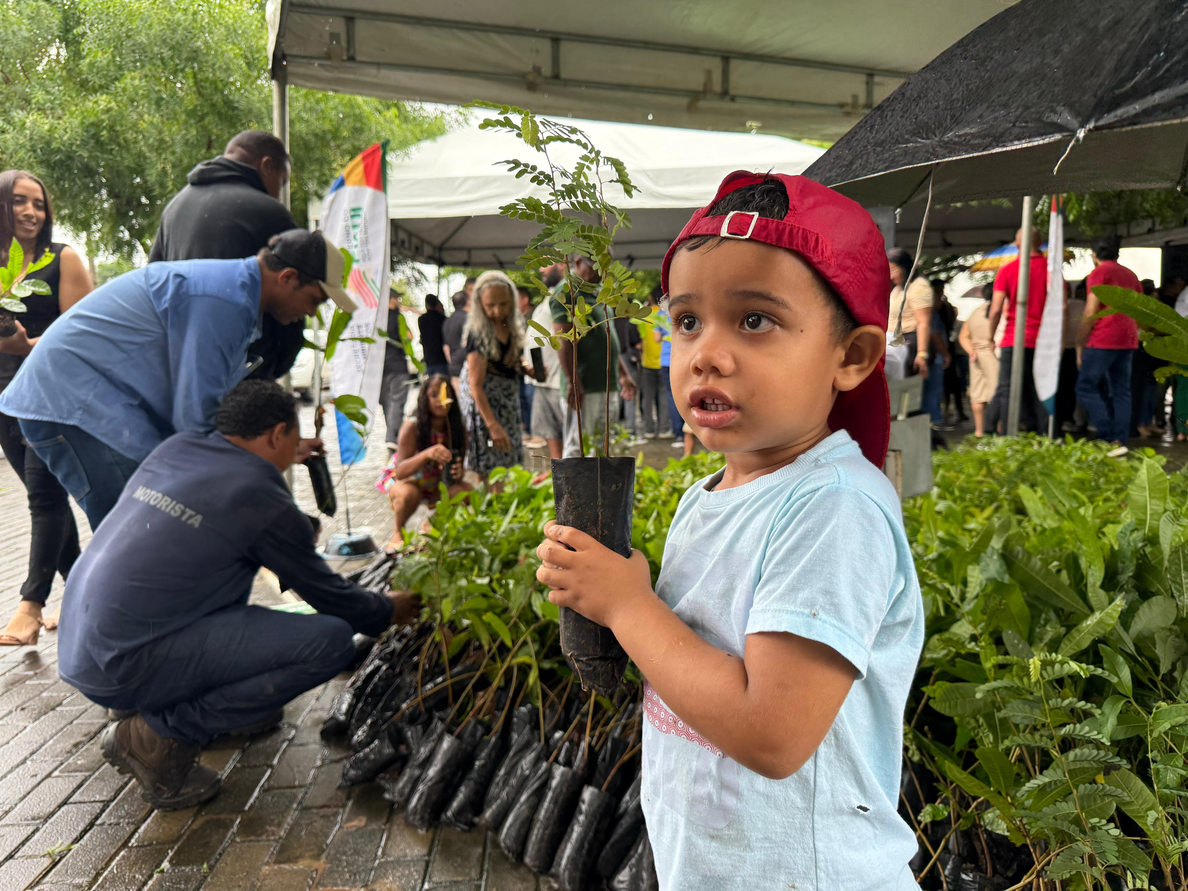 PRO Verde ultrapassa 3 milhões de mudas distribuídas e reforça compromisso ambiental no Piauí
