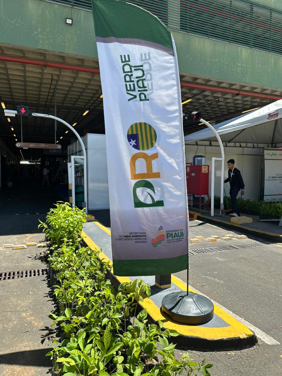 Com a distribuição de 15 mil mudas, Semarh lança projeto ProVerde nos Bairros