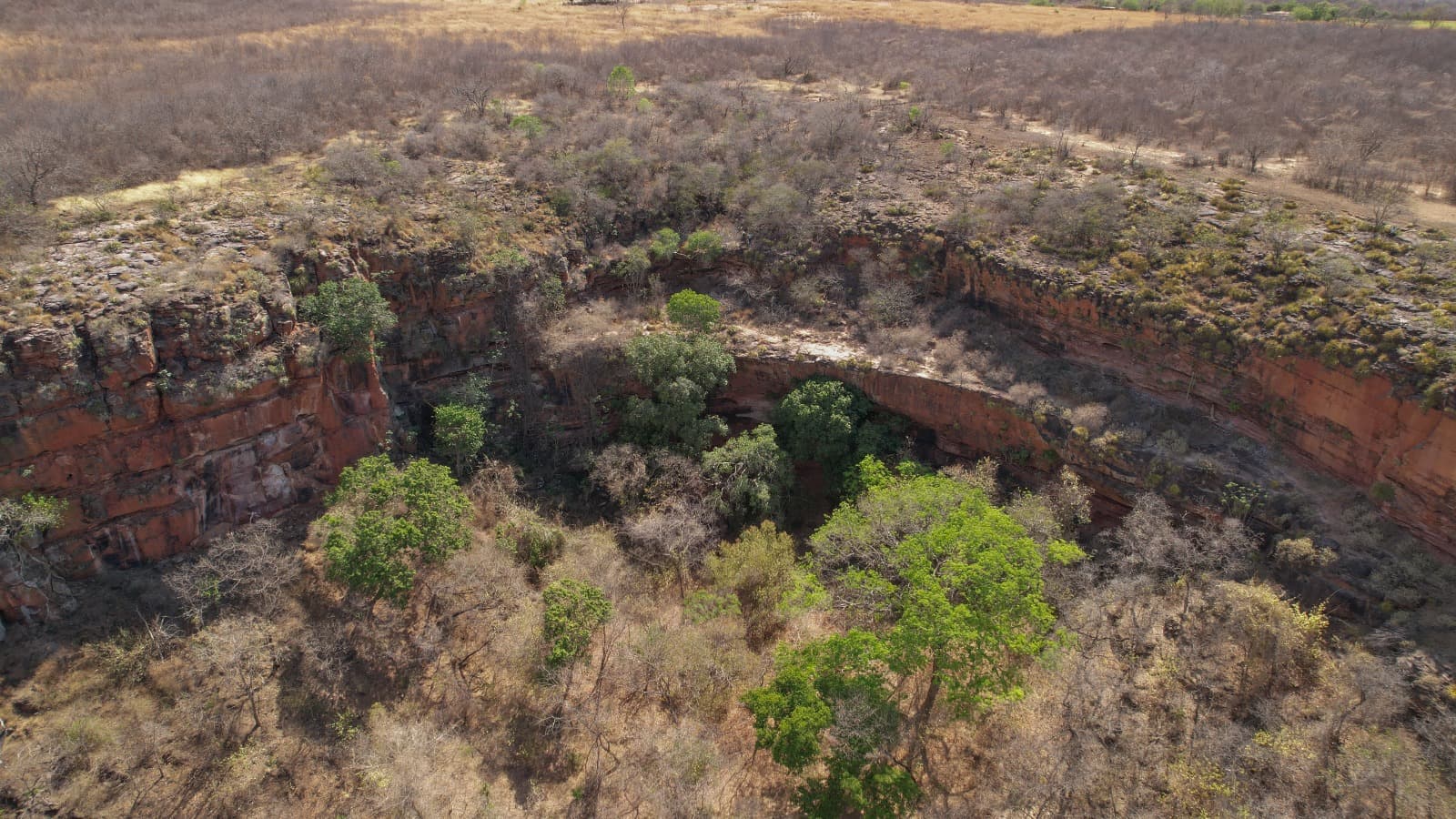 Decreto destaca a importância da APA para a conservação de espécies de fauna e flora