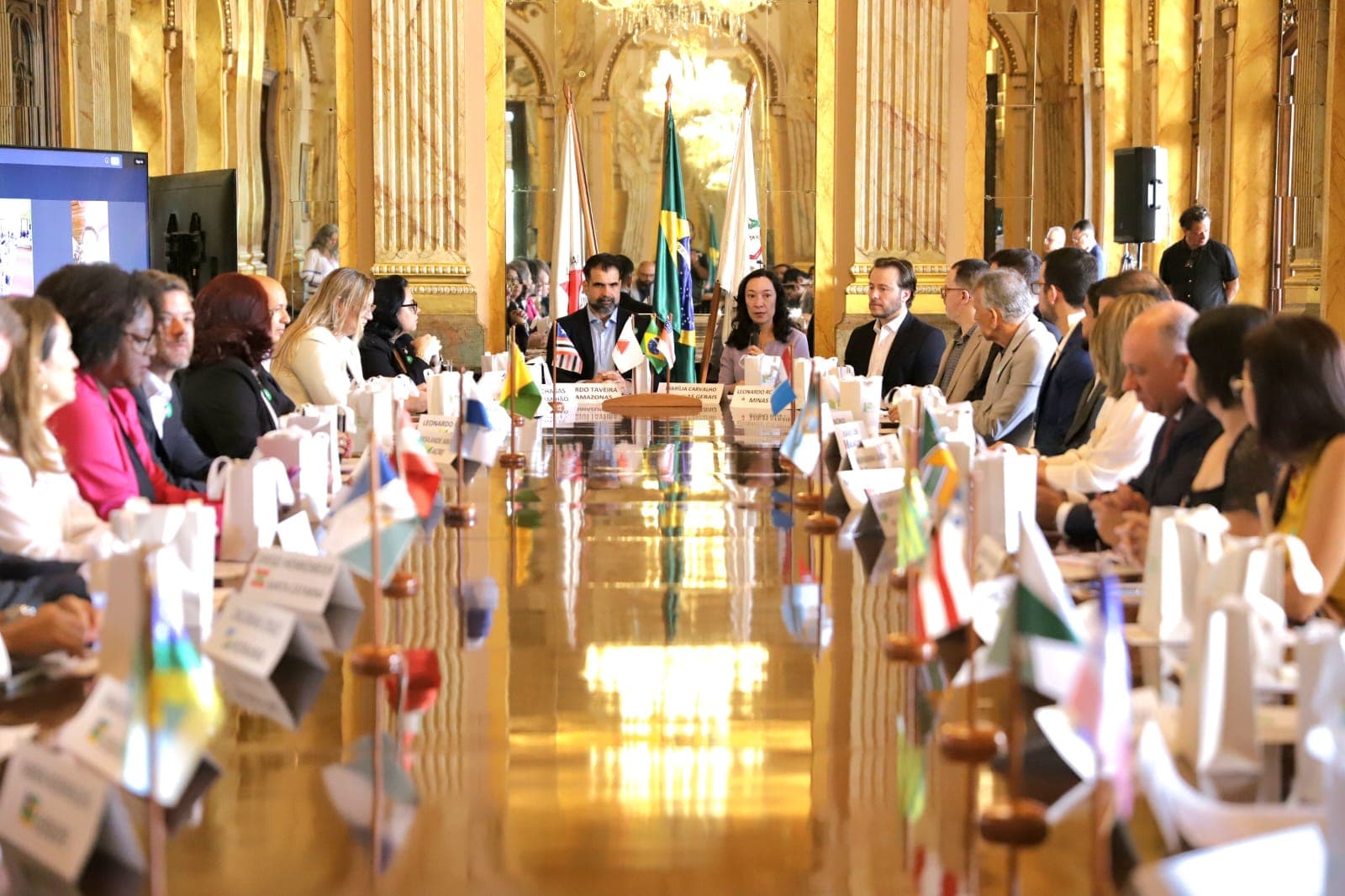 Piauí marcou presença com protagonismo, representado pelo secretário de Meio Ambiente e Recursos Hídricos, Feliphe Araújo, e pelo chefe de gabinete Karl Marwin.